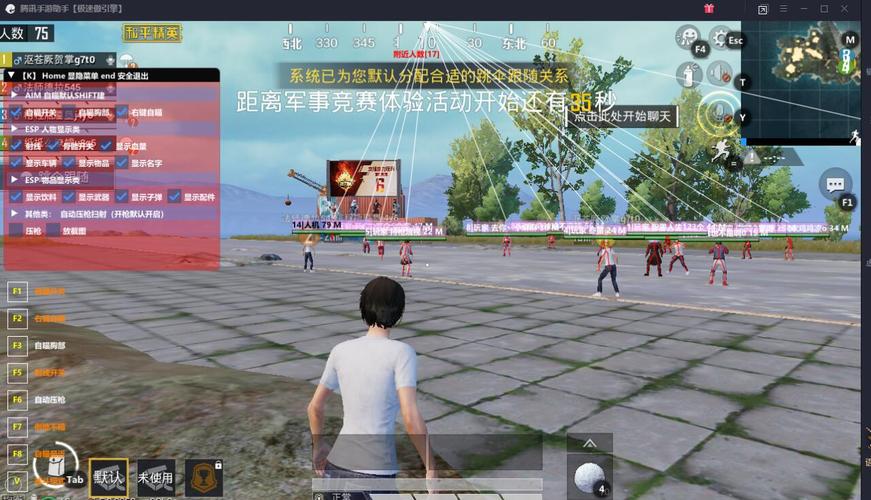和平精英辅助【九世】