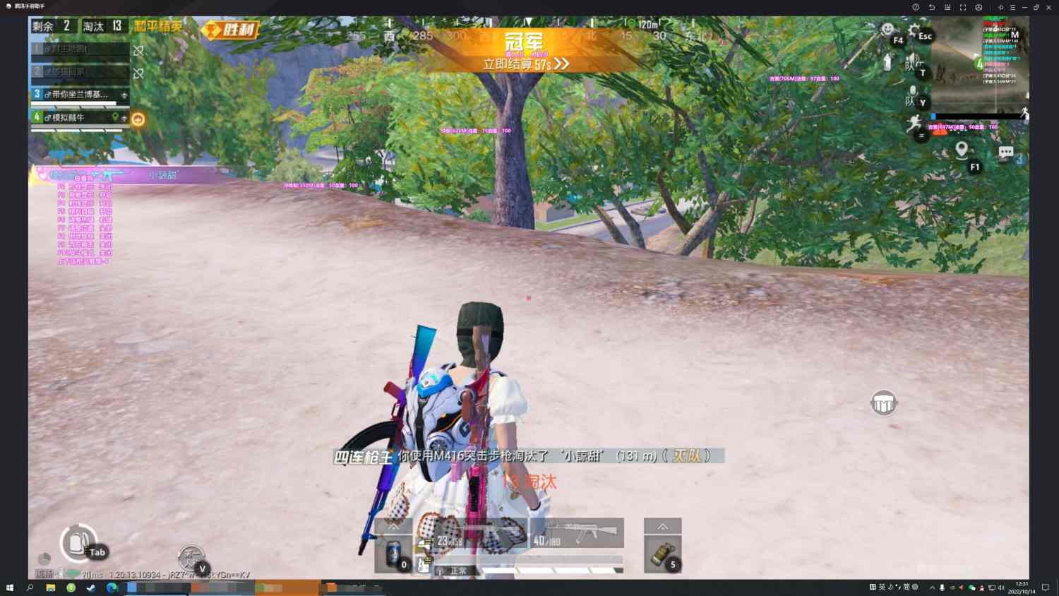 和平精英「战神w」辅助